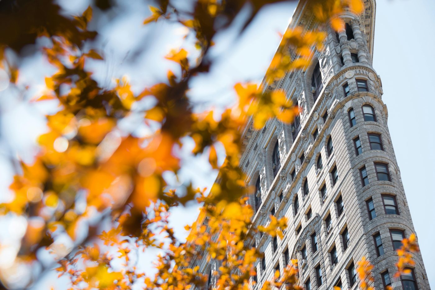 Feuillage orange au premier plan devant la façade du Flatiron Building